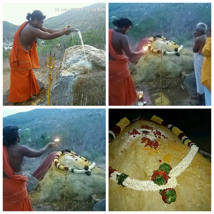 29 May 2018 - Nithyananda Poornima (The day of 1st Enlightemment Experience of His Divine Holines) Celebration at Pavazha Kundru